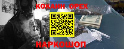 jwh Будённовск