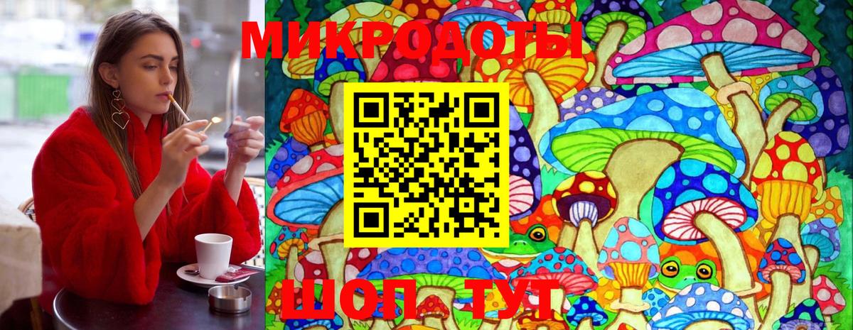 Псилоцибиновые грибы Magic Shrooms  Галлюциногенные грибы Cubensis  Холмск  Вход с VPN 