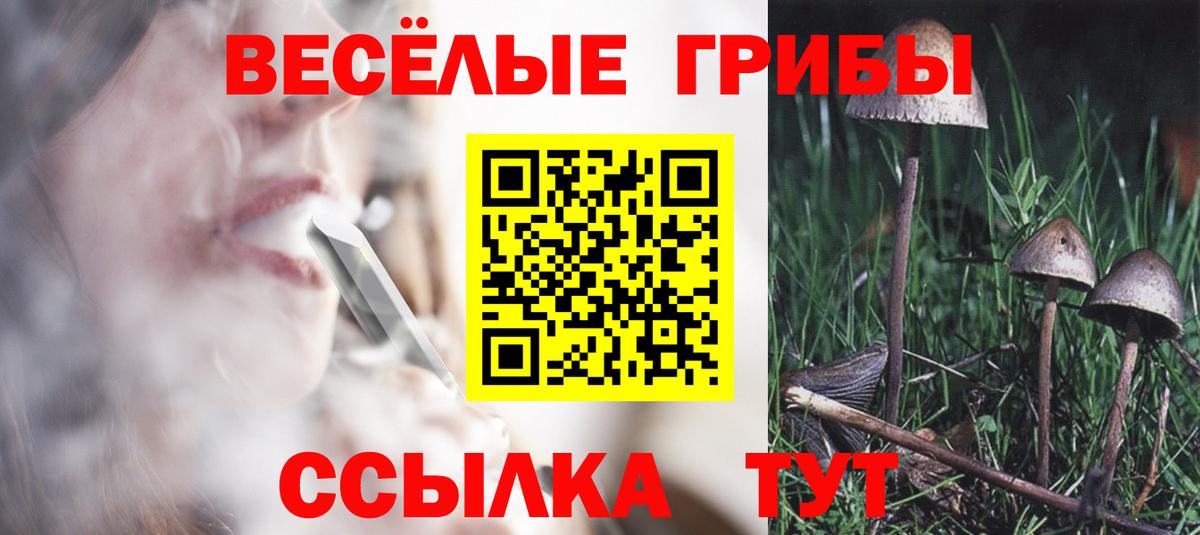 Псилоцибиновые грибы Psilocybine cubensis Холмск
